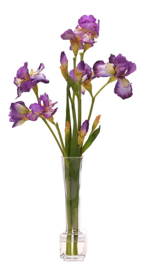 Iris, Faux Watergarden, 28"