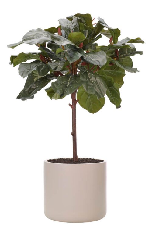 Fiddle Leaf Tree, Faux Tree, 48"