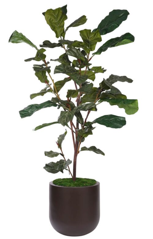 Fiddle Leaf Tree, Faux Tree, 102"