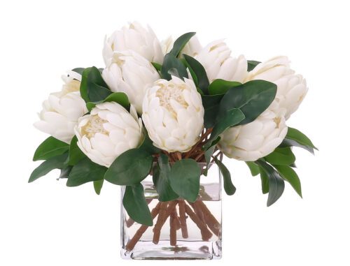 Protea, Faux Watergarden, 12"