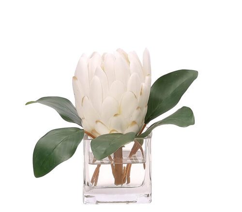 Protea, Faux Watergarden, 6"