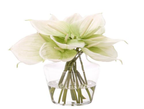 Anthurium, Faux Watergarden, 14"