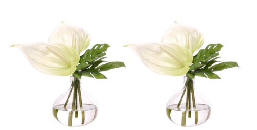 Anthurium, Set of 2, Faux Watergarden, 11"