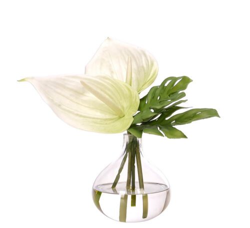 Anthurium, Faux Watergarden, 11"