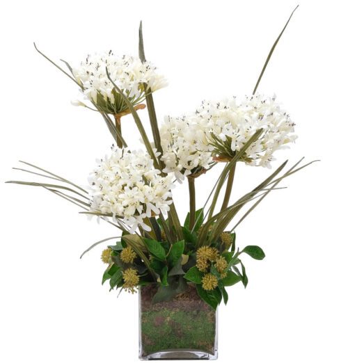 Agapanthus, Faux Moss Garden, 25"