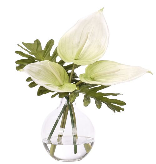 Anthurium, Faux Watergarden, 16"