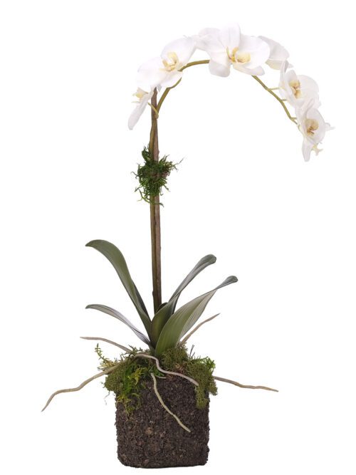 Phalaenopsis Orchid, Faux Arrangement, 24"