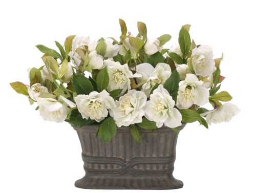 Helleborus, Faux Arrangement, 13" (Final Sale)