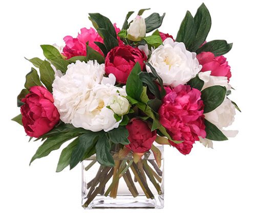 Peonies