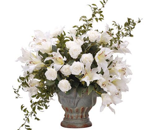 Lilies