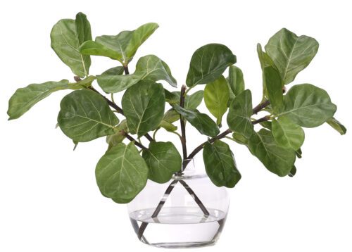 Fiddle Leaf, Faux Watergarden, 17"