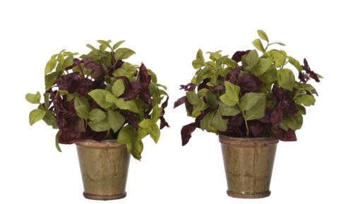 Basil, Set of 2, Faux Arrangement, 12"