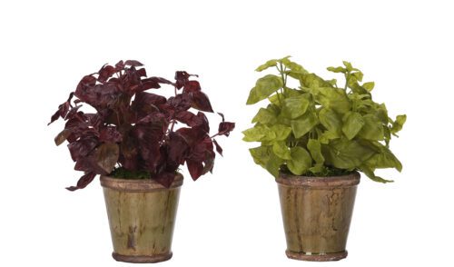 Herb Basil, Set of 2, Faux Arrangement, 11"