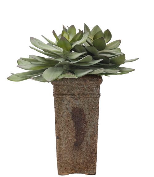 Succulent, Faux Arrangement, 14.5" (Final Sale)