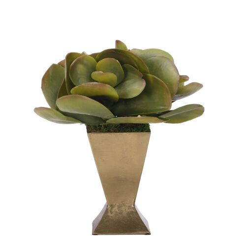 Succulent, Faux Arrangement, 13" (Final Sale)