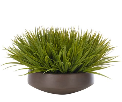 Grass