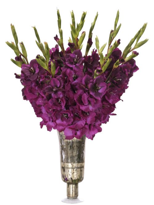 Gladiola, Faux Watergarden, 37"