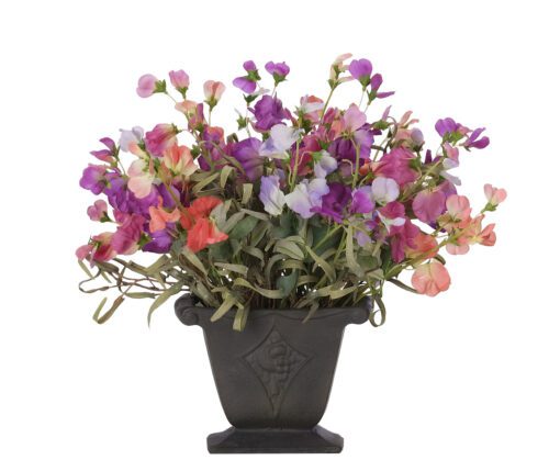Sweetpea, Faux Arrangement, 14" (Final Sale)