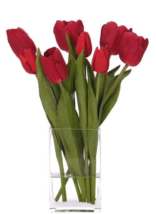 Tulip, Faux Watergarden, 16"
