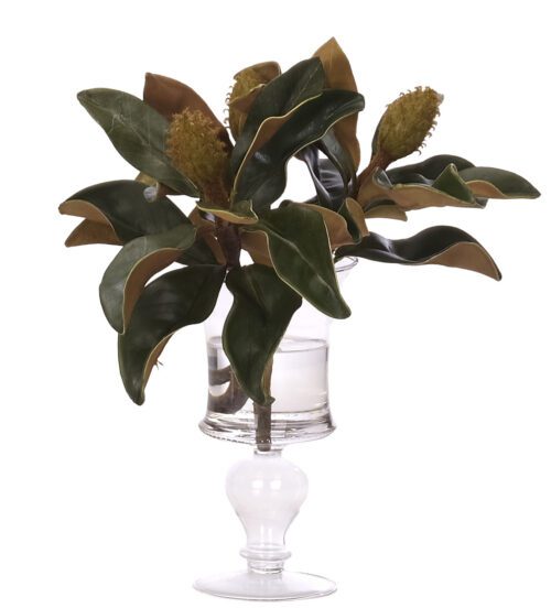 Magnolia Foliage, Faux Watergarden, 11"