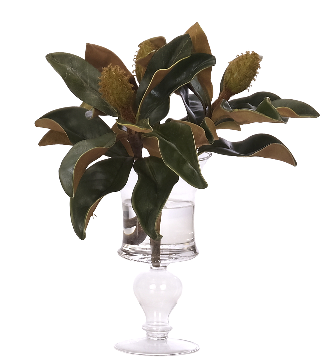 Magnolia Foliage, Faux Watergarden, 11″