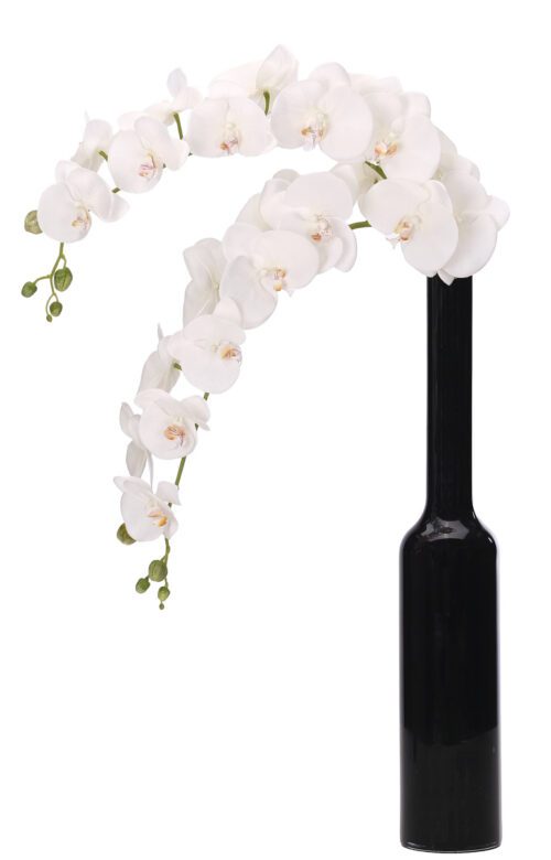 Phalaenopsis Orchid, Faux Watergarden, 36"