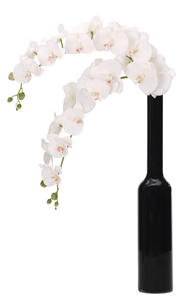 Phalaenopsis Orchid, Faux Watergarden, 36″