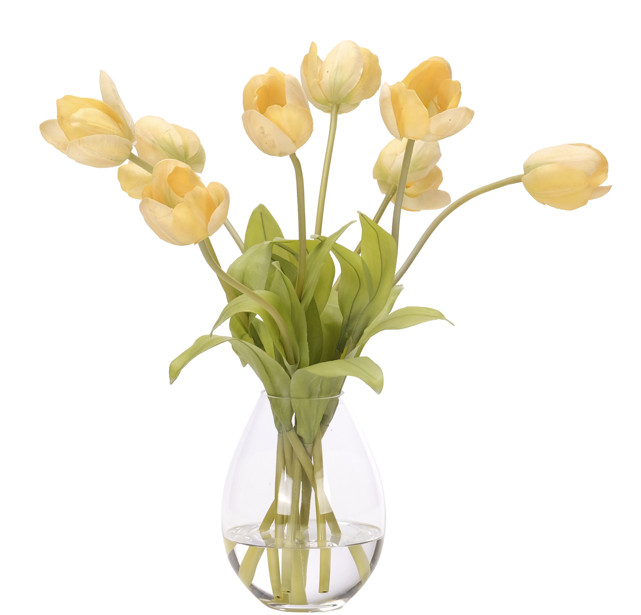 Tulip, Faux Watergarden, 19″