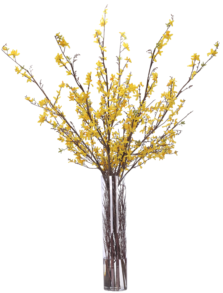 Forsythia, Faux Watergarden, 63″