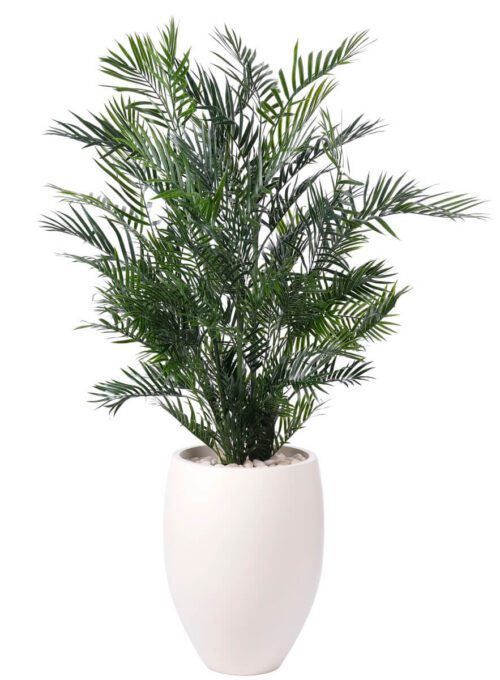 Areca Palm, UV Outdoor Greenery, 66"