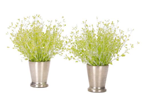 Thyme, Faux Arrangement, 10"