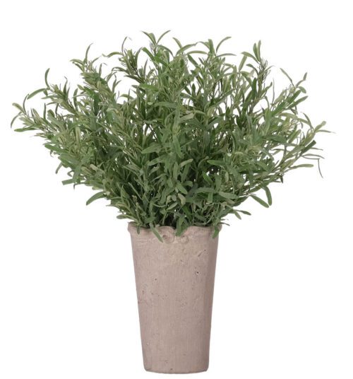 Herb Rosemary, Faux Arrangement, 20" (Final Sale)