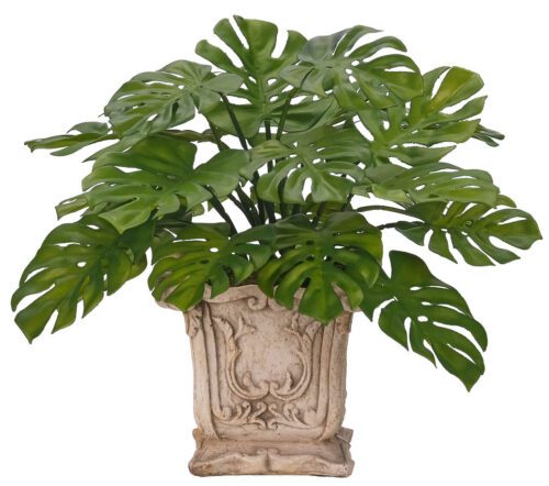 Monstera, Faux Arrangement, 16" (Final Sale)