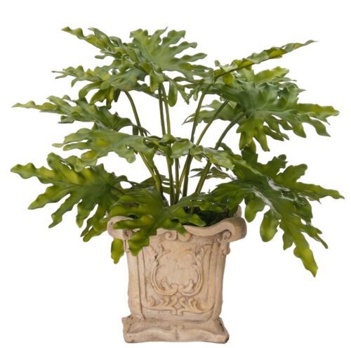 Selloum, Faux Arrangement, 17" (Final Sale)