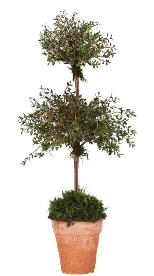 Cotoneaster Topiary, Faux Arrangement, 32"