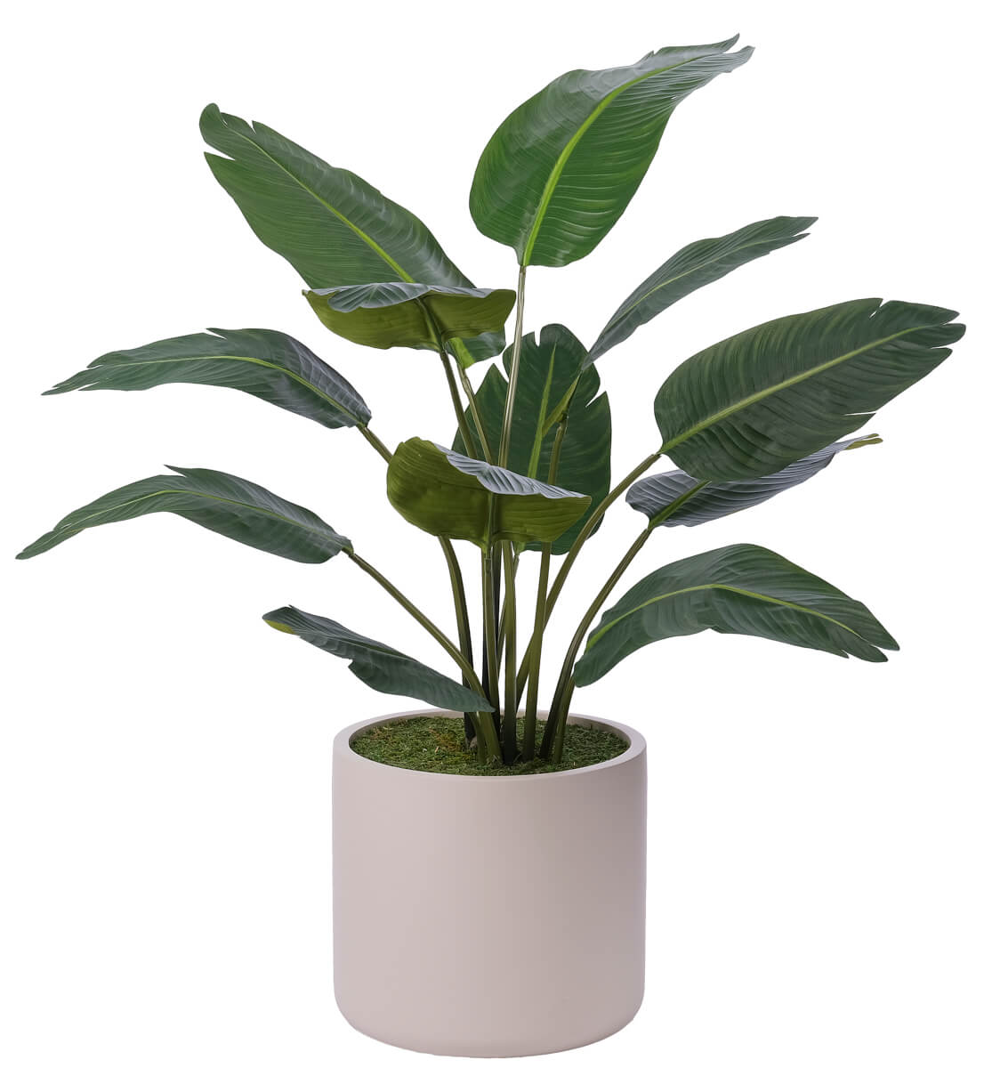Travelers Palm, Faux Tree, 53″