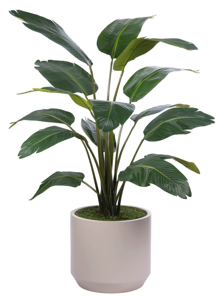 Travelers Palm, Faux Tree, 60″