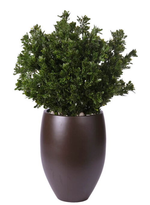 Boxwood, UV Outdoor Faux Greenery, 47"