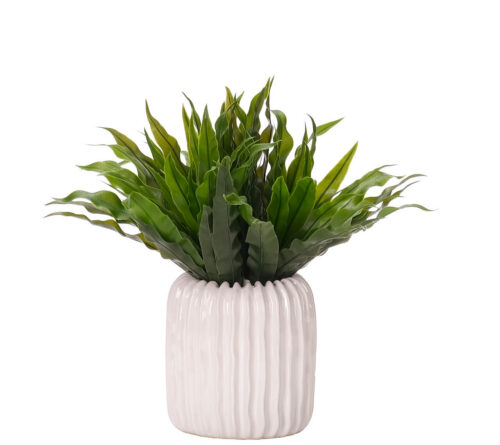 Bird Nest Fern, UV Outdoor Faux Greenery, 11"