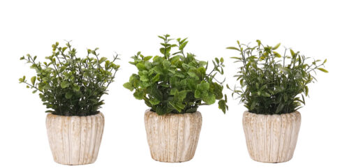 Mint Basil, UV Outdoor, Set of 3, Faux Greenery, 10"