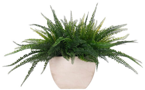 Fern Boston, UV Outdoor Faux Greenery, 20"