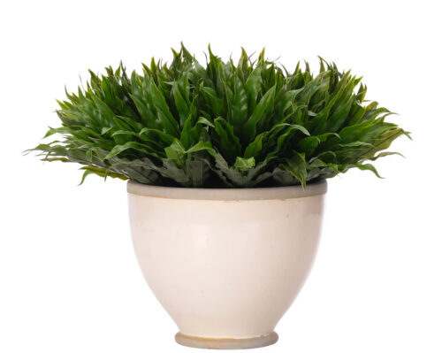 Bird Nest Fern, UV Outdoor Faux Greenery, 14"