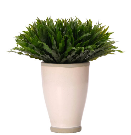 Bird Nest Fern, UV Outdoor Faux Greenery, 16"