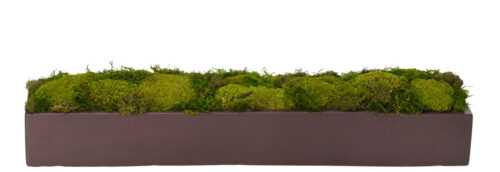 Moss Mound, Faux Arrangement, 6"
