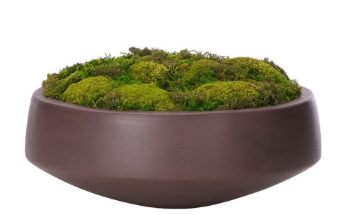 Moss Mound, Faux Arrangement, 9"