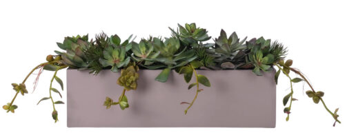 Succulent, Faux Arrangement, 14"