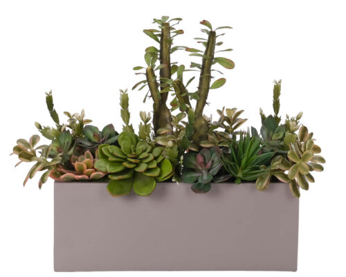 Succulent, Faux Arrangement, 21"