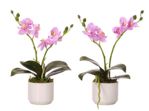 Phalaenopsis Orchid, Set of 2, Faux Arrangement, 11"