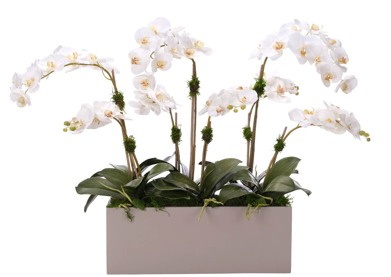 Phalaenopsis Orchid, Faux Arrangement, 27″