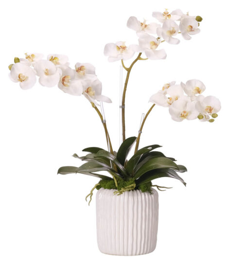 Phalaenopsis Orchid, Faux Arrangement, 26"